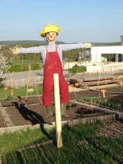 WhatsApp Image 2020-04-16 at 18.21.19